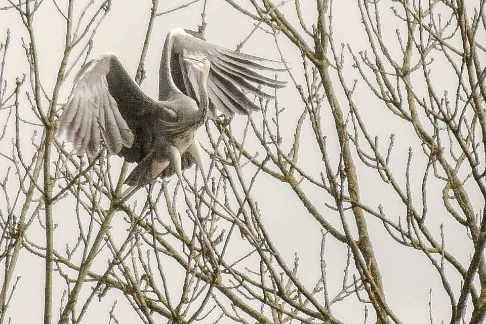 2016-04-03 - Uemminger See Bochum -