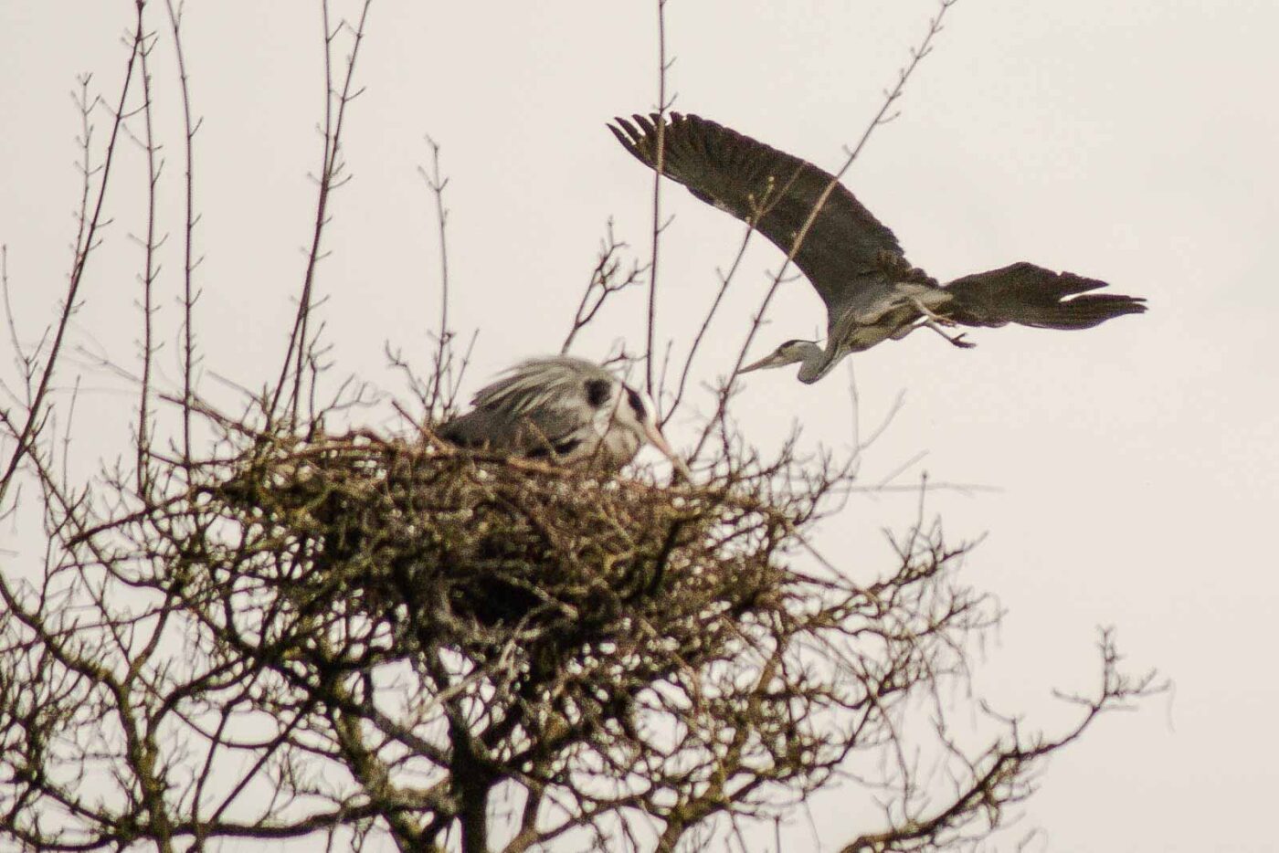 2016-04-03 - Uemminger See Bochum -