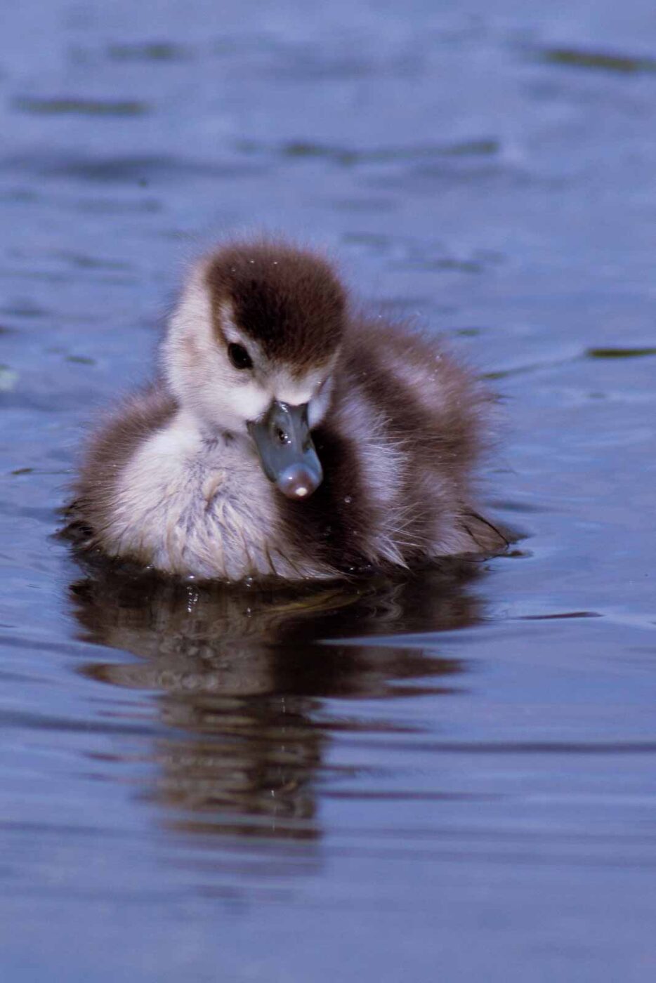 2016-04-03 - Uemminger See Bochum -