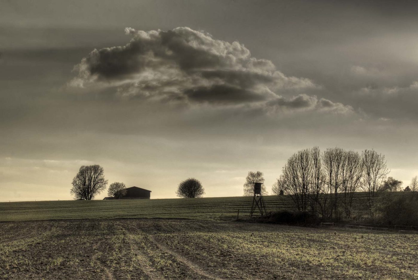 2016-04-10 - NSG Langeloh