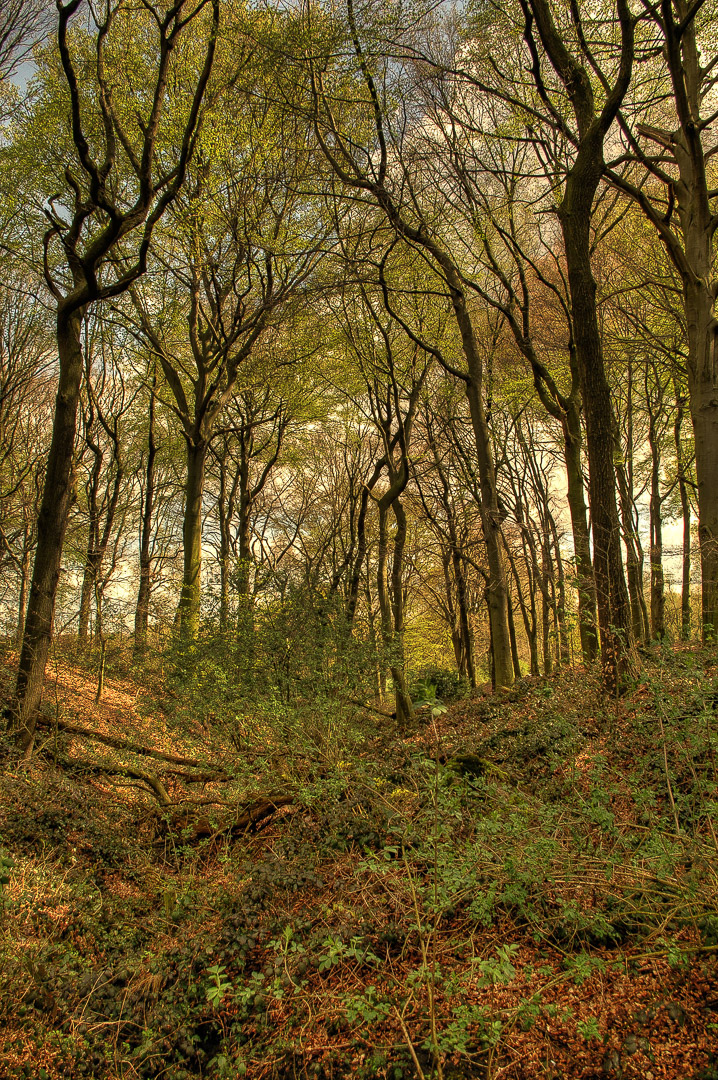 2016-04-17 - NSG Langeloh Herne