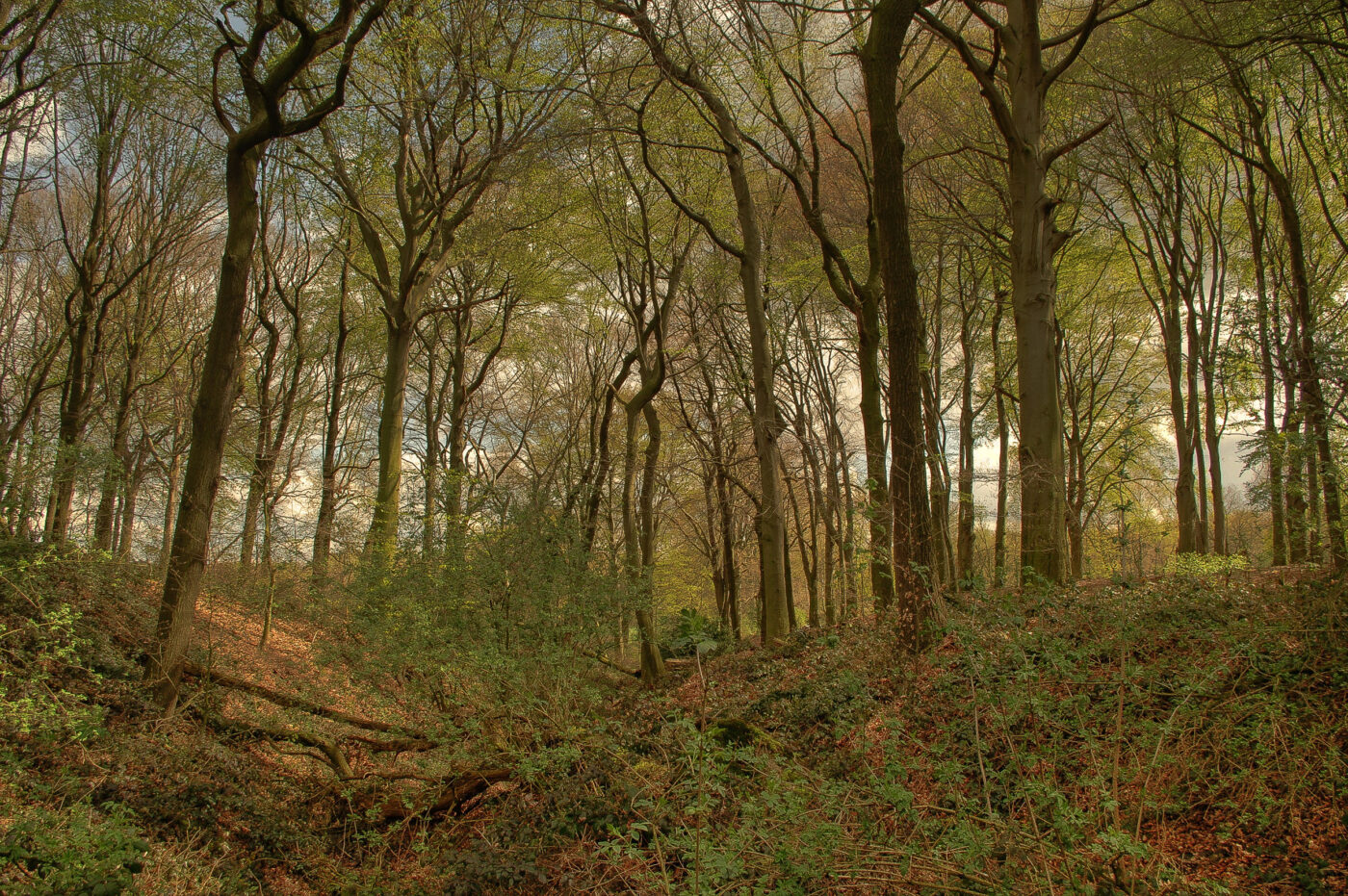 2016-04-17 - NSG Langeloh Herne