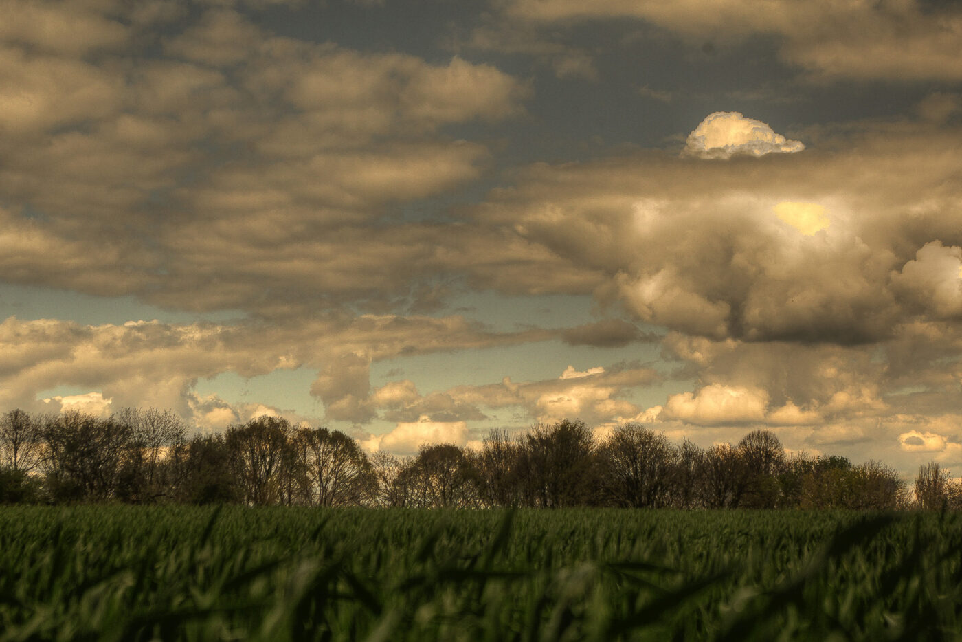 2016-04-17 - NSG Langeloh Herne