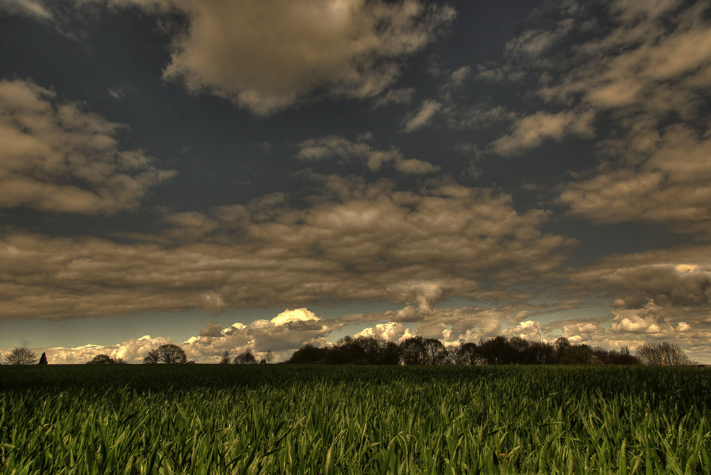 2016-04-17 - NSG Langeloh Herne