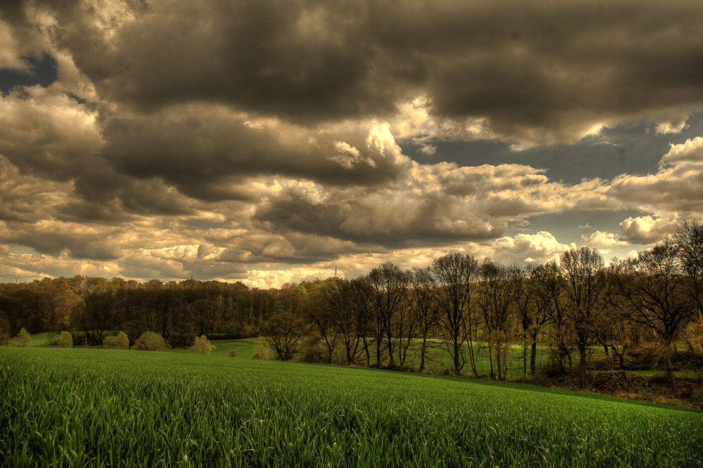 2016-04-17 - NSG Langeloh Herne