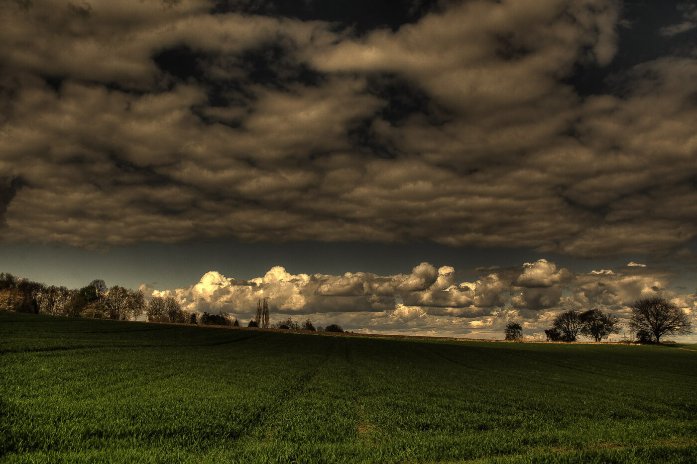 2016-04-17 - NSG Langeloh Herne