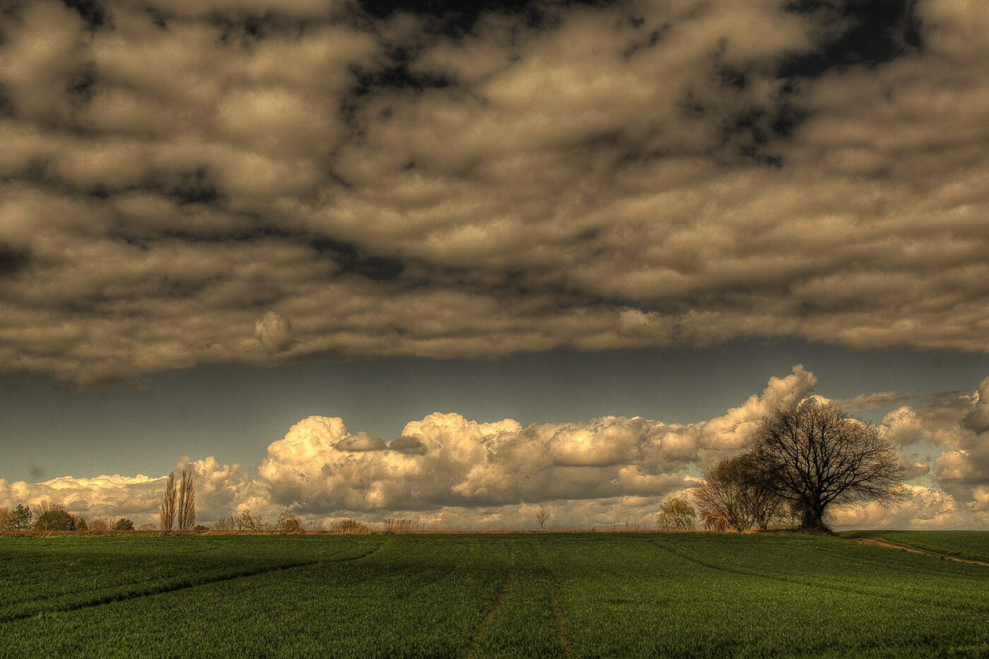 2016-04-17 - NSG Langeloh Herne