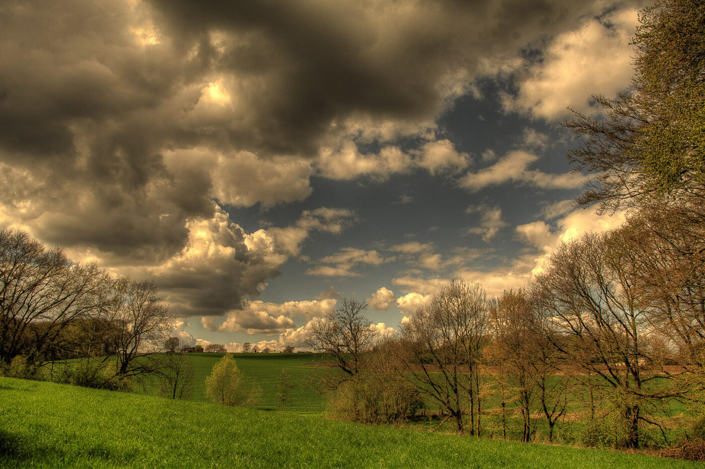 2016-04-17 - NSG Langeloh Herne