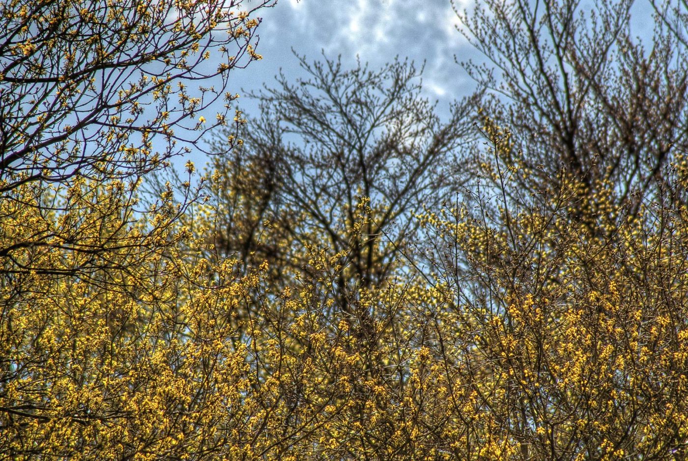 2016-04-17 - NSG Langeloh Herne