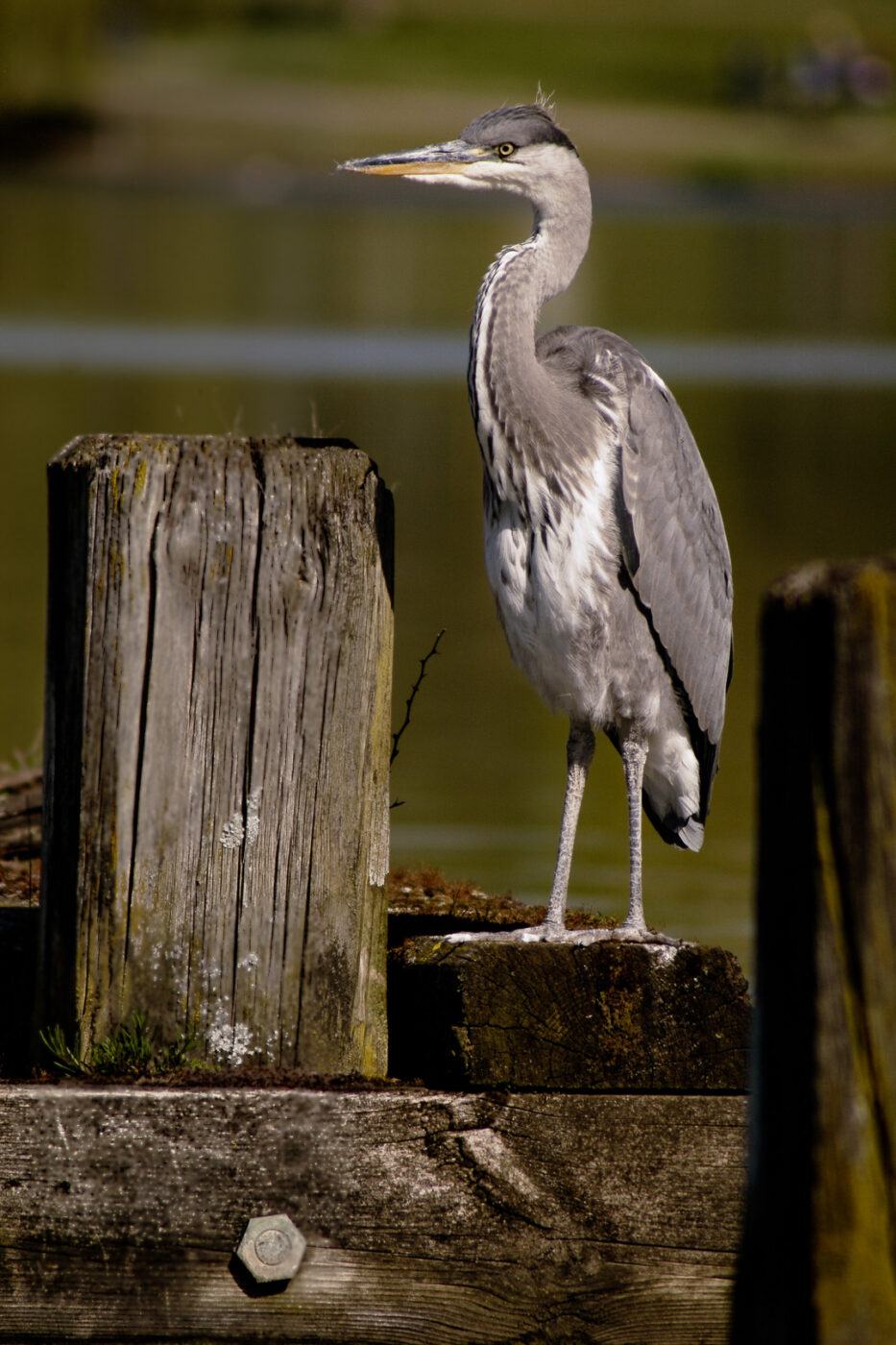 2016-04-21 - Uemminger See Bochum