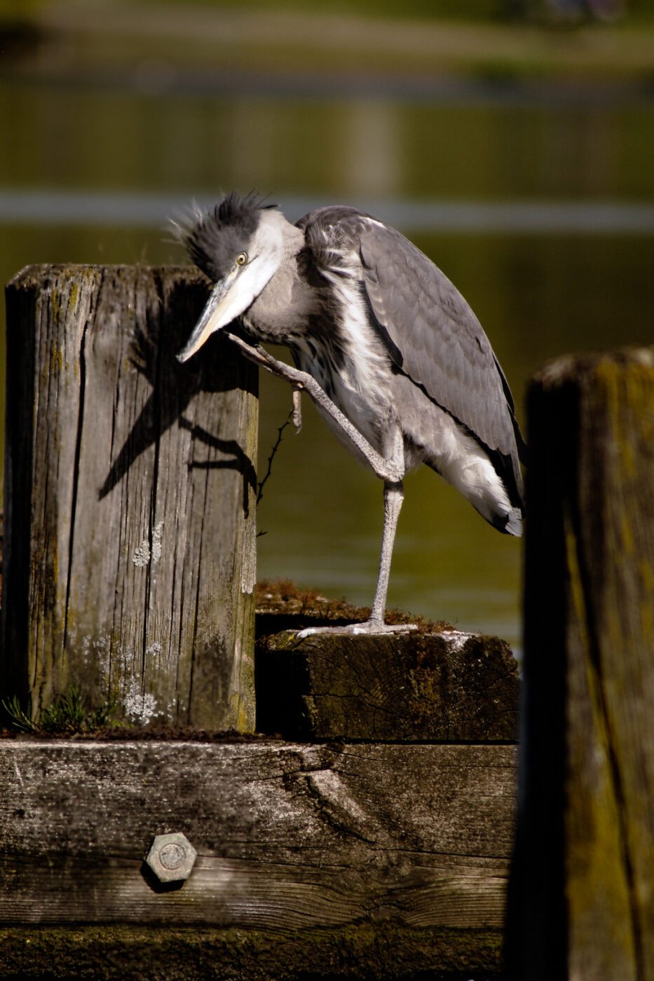 2016-04-21 - Uemminger See Bochum