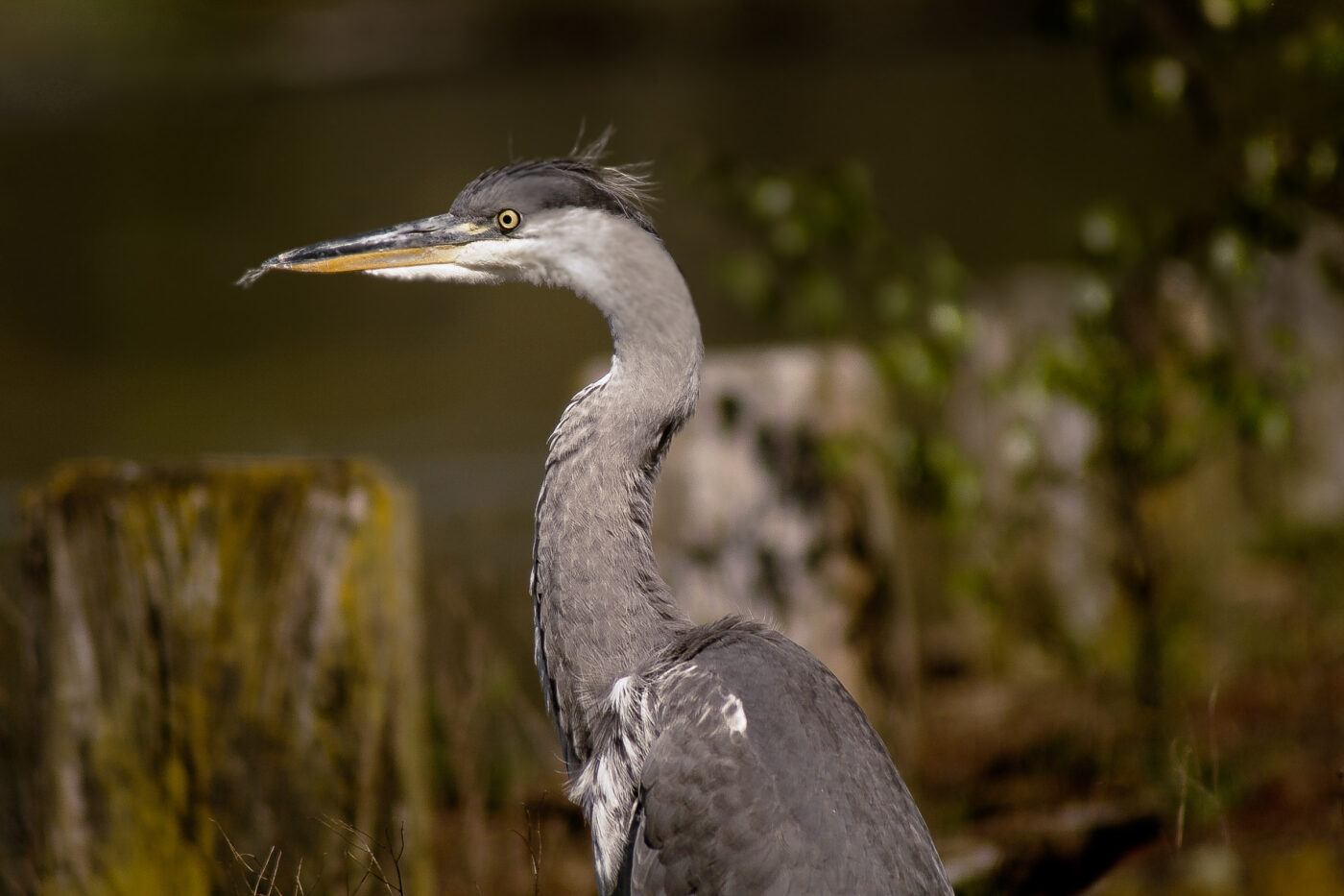 2016-04-21 - Uemminger See Bochum