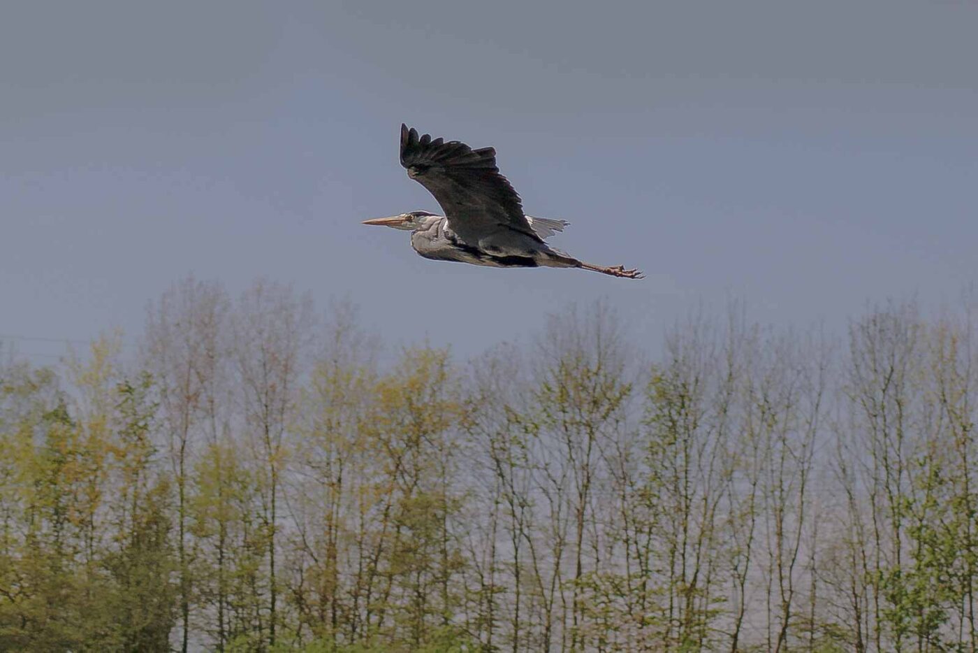 2016-04-21 - Uemminger See Bochum