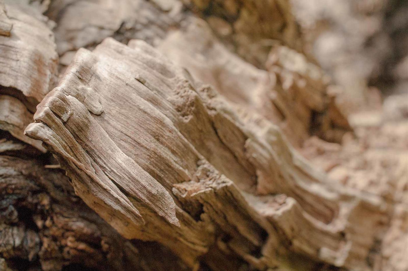 2016-04-22 - Harperner Teiche Bochum