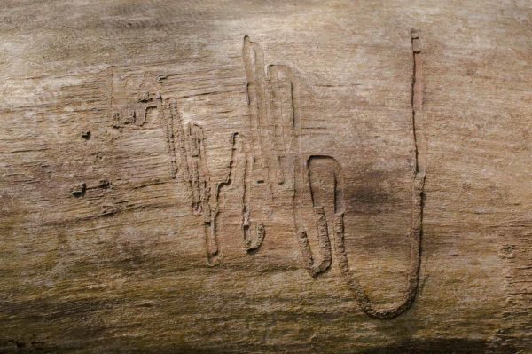 2016-04-22 - Harperner Teiche Bochum