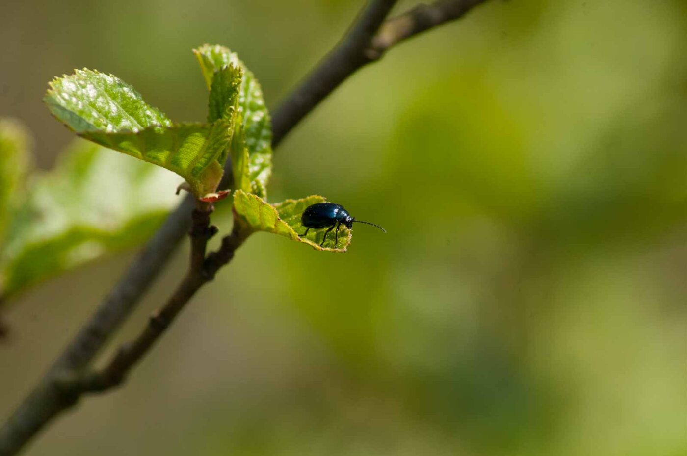 2016-04-22 - Harperner Teiche Bochum