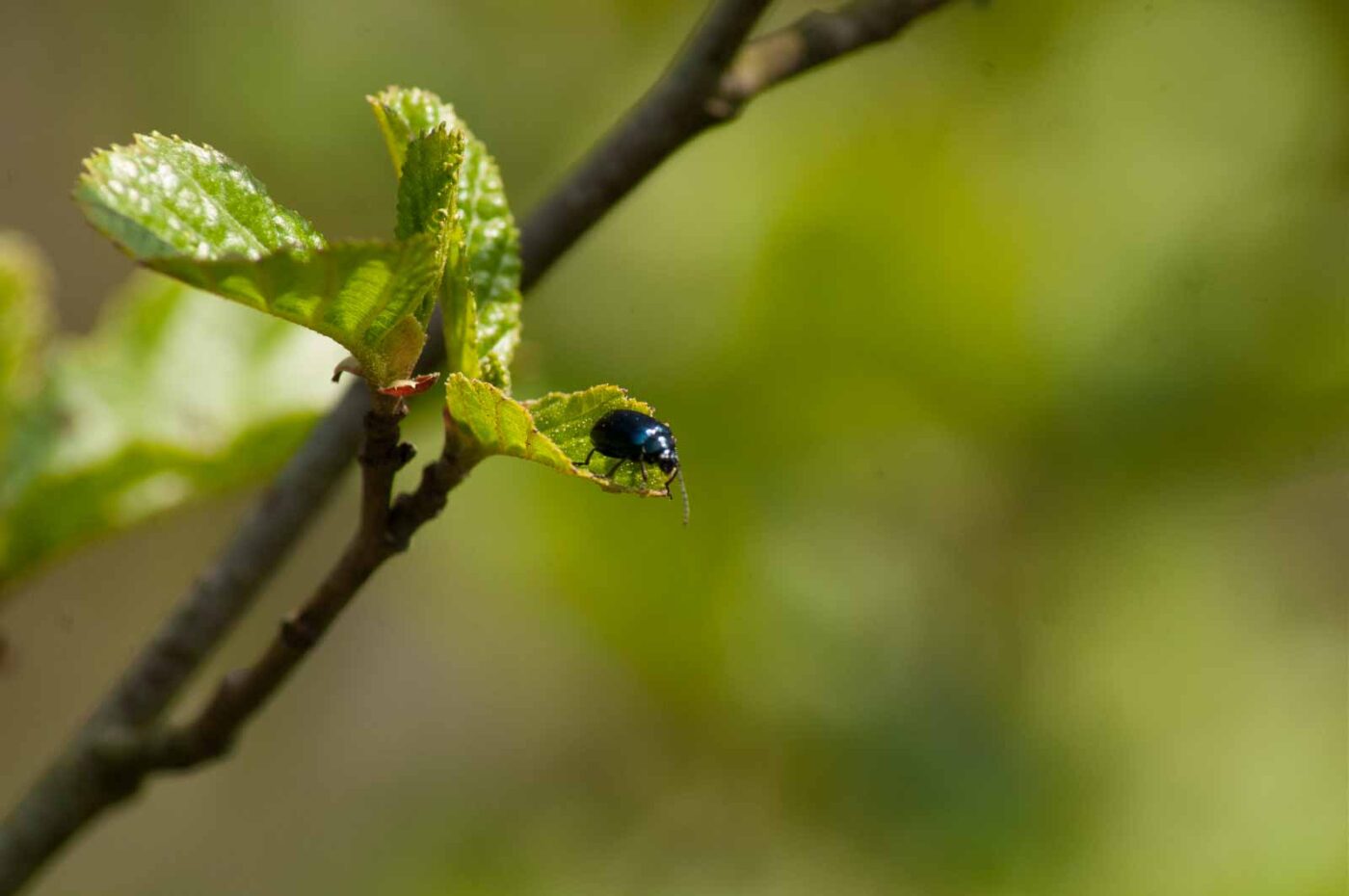 2016-04-22 - Harperner Teiche Bochum