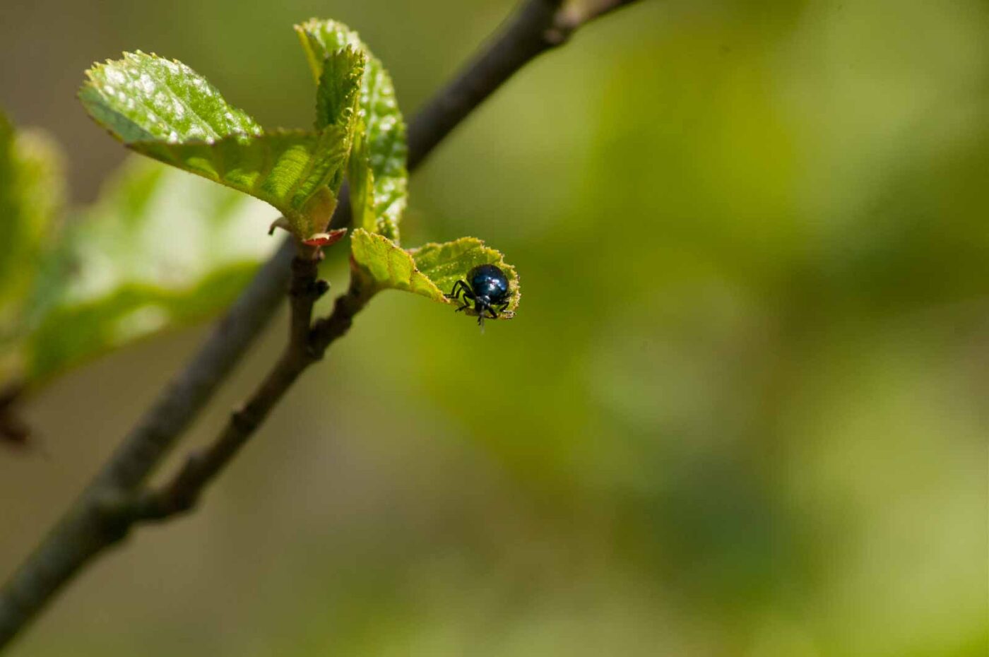2016-04-22 - Harperner Teiche Bochum