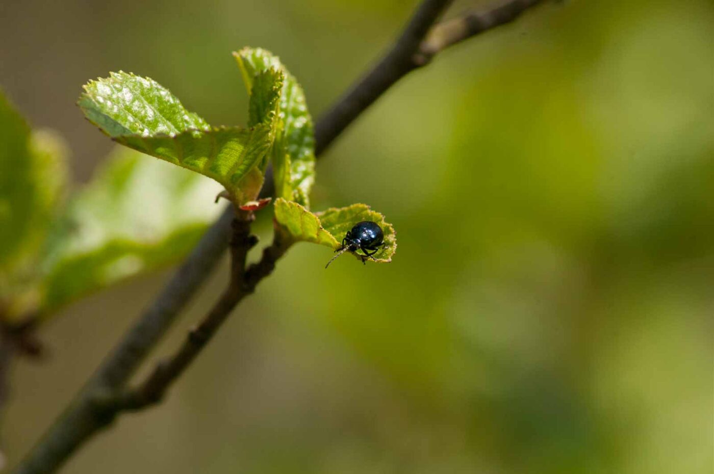 2016-04-22 - Harperner Teiche Bochum