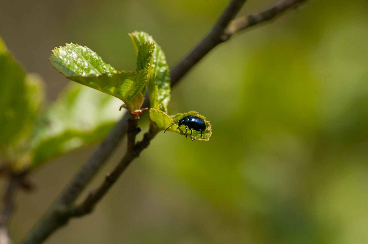 2016-04-22 - Harperner Teiche Bochum
