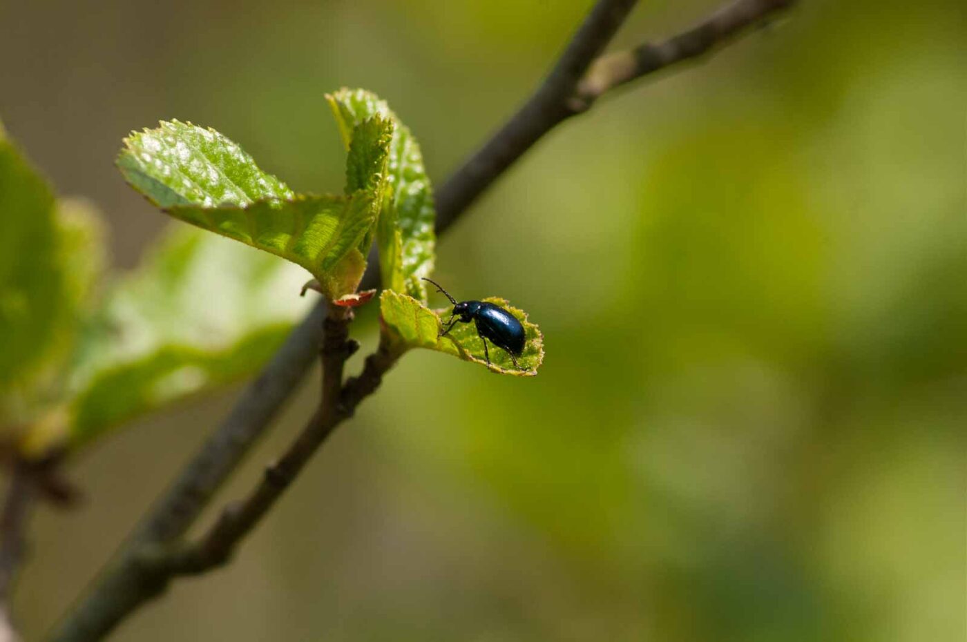 2016-04-22 - Harperner Teiche Bochum