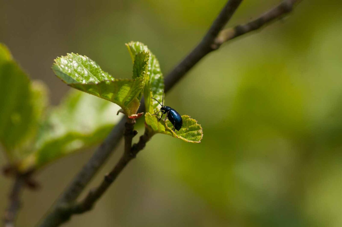 2016-04-22 - Harperner Teiche Bochum