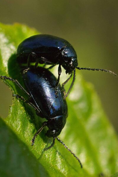 2016-04-22 - Harperner Teiche Bochum