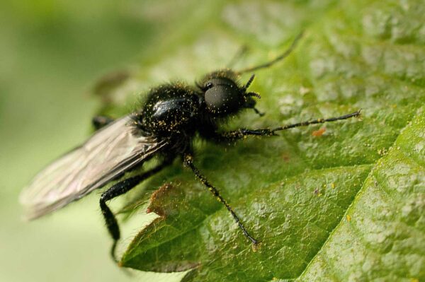 2016-04-22 - Harperner Teiche Bochum