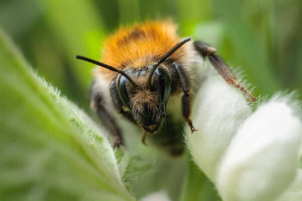 2016-04-22 - Harperner Teiche Bochum