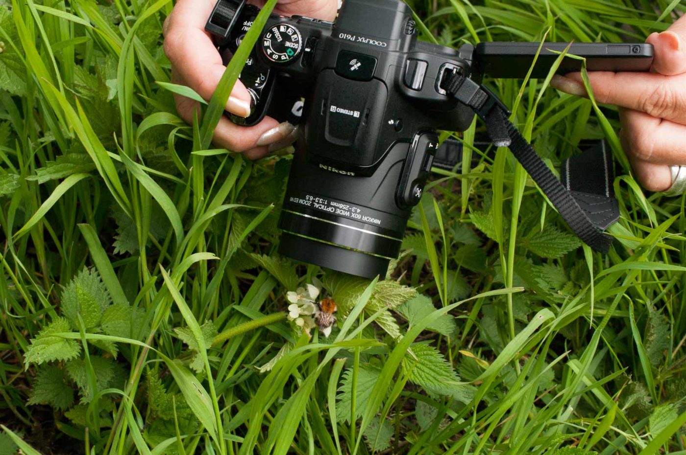 2016-04-22 - Harperner Teiche Bochum