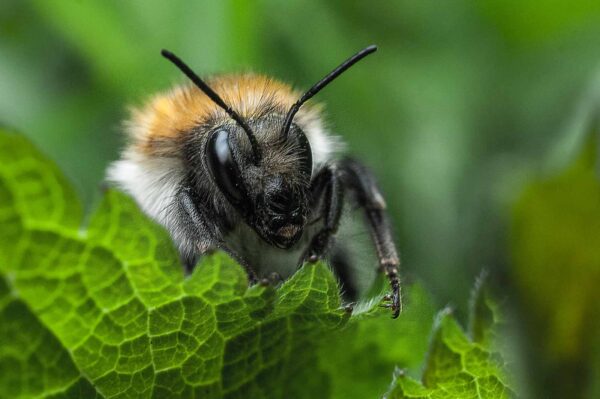 2016-04-22 - Harperner Teiche Bochum