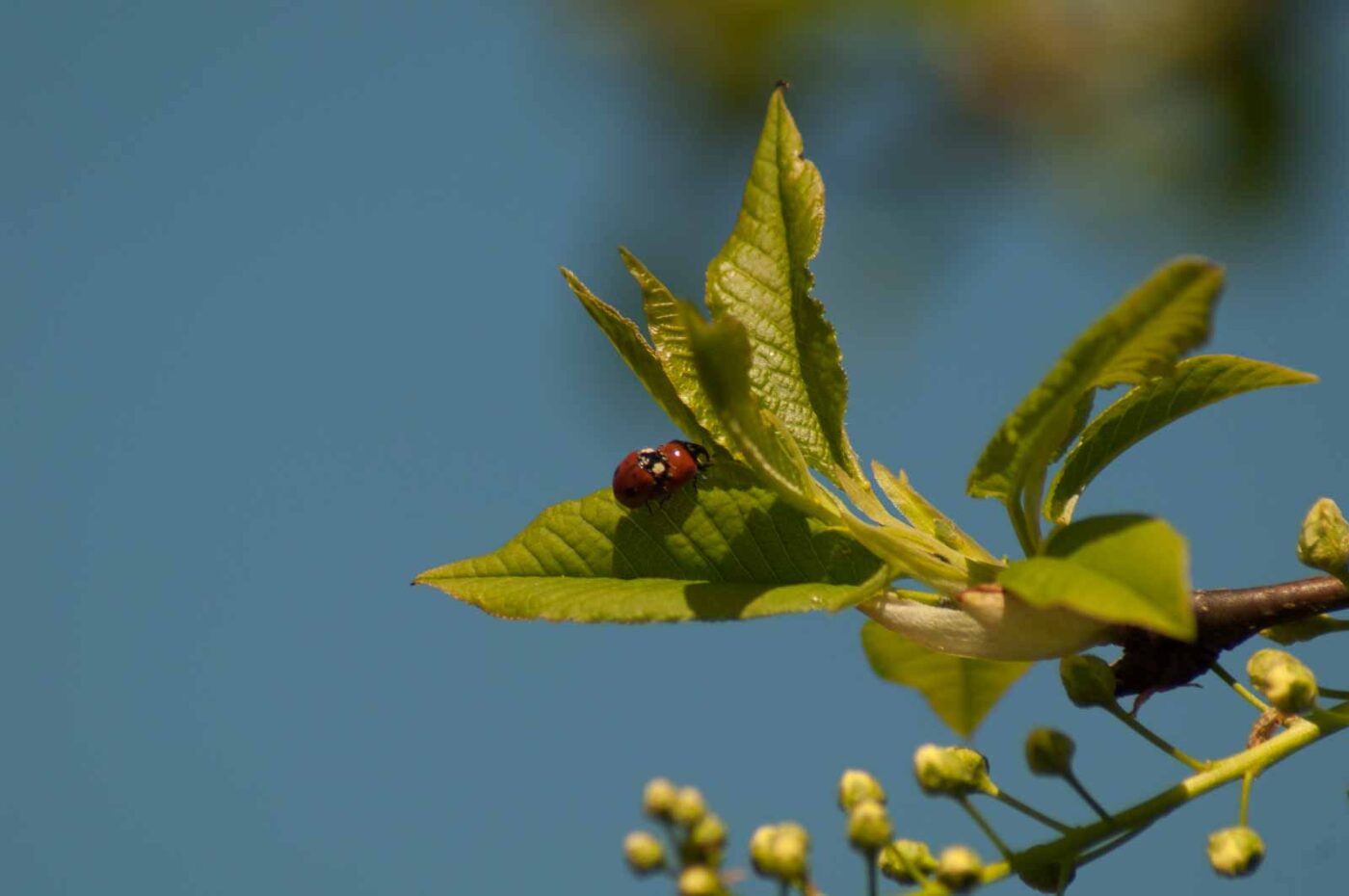 2016-05-05 - Harpener Teiche Bochum