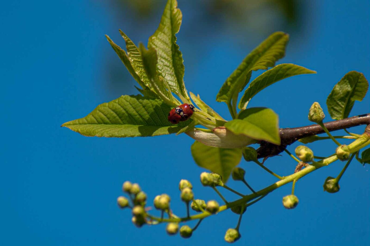 2016-05-05 - Harpener Teiche Bochum