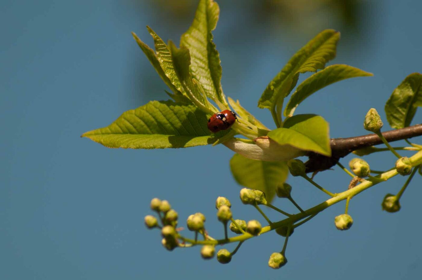 2016-05-05 - Harpener Teiche Bochum