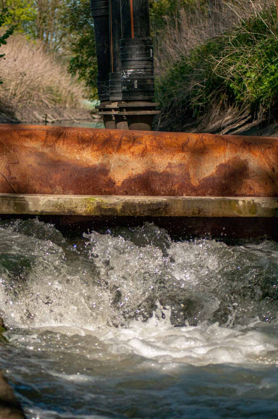 2016-05-05 - Harpener Teiche Bochum