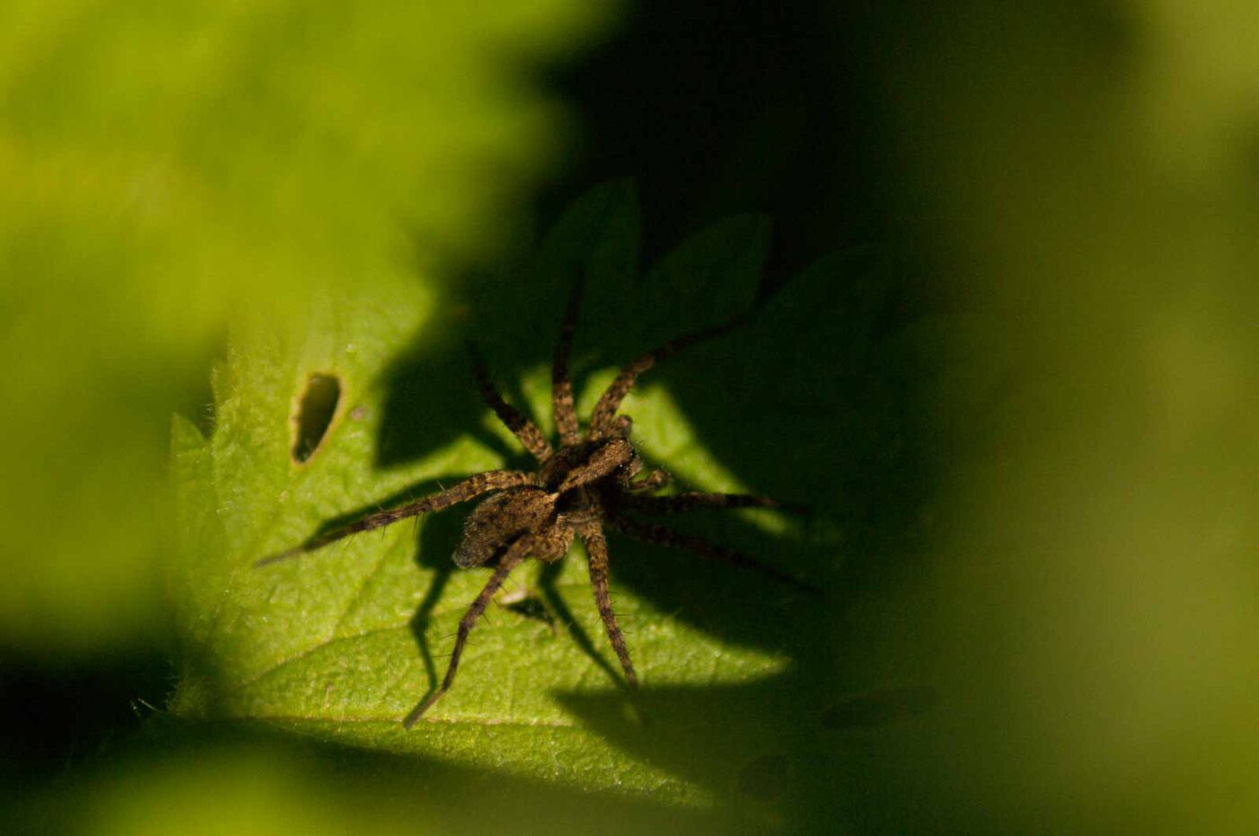 2016-05-05 - Harpener Teiche Bochum