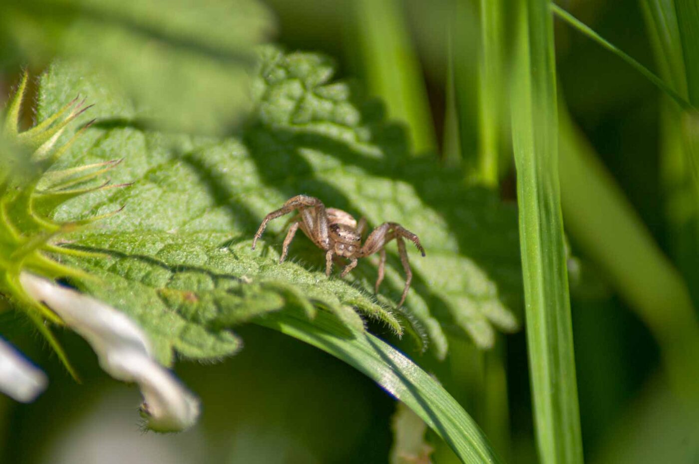 2016-05-05 - Harpener Teiche Bochum