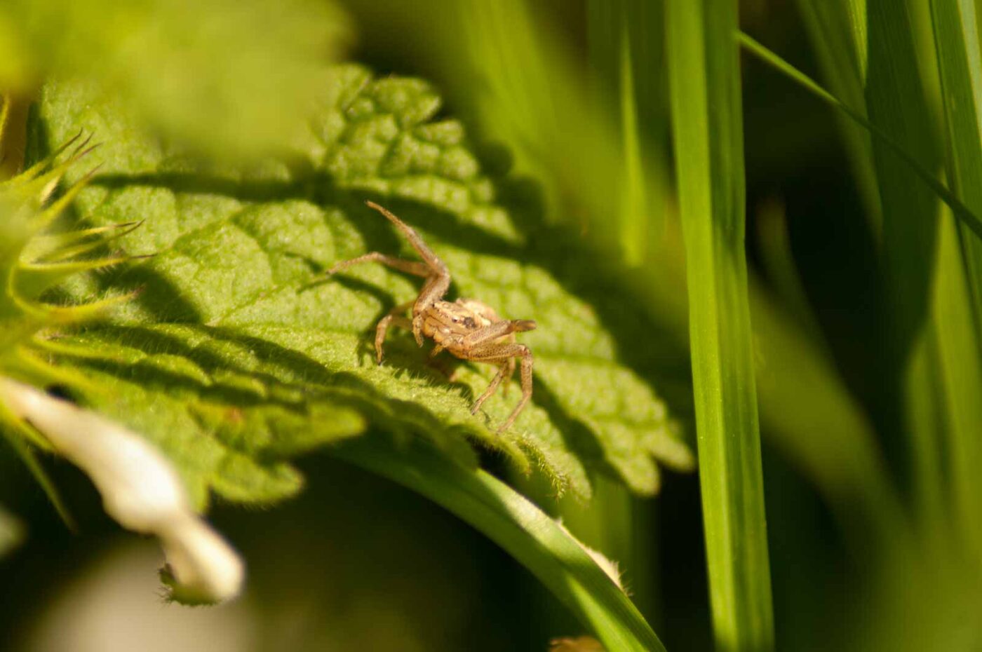2016-05-05 - Harpener Teiche Bochum