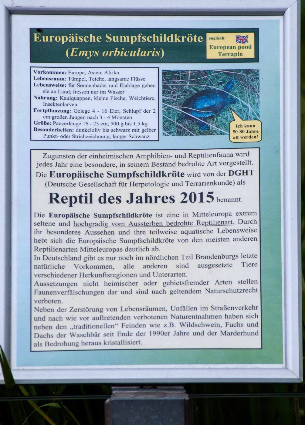 2016-07-04 - TuF Bochum