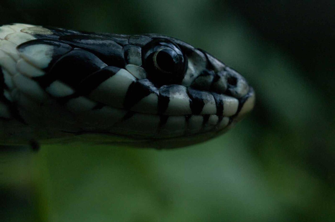 2016-07-04 - TuF Bochum