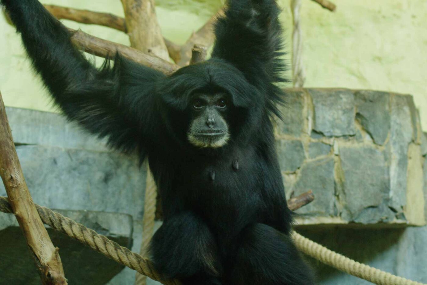 2016-08-17 - Zoo Osnabrück