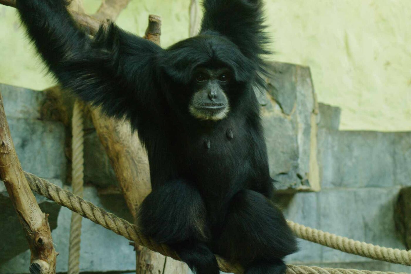 2016-08-17 - Zoo Osnabrück