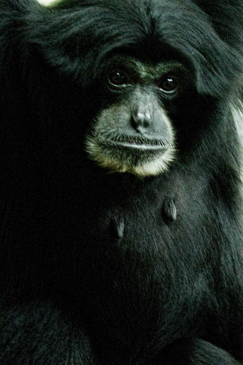 2016-08-17 - Zoo Osnabrück