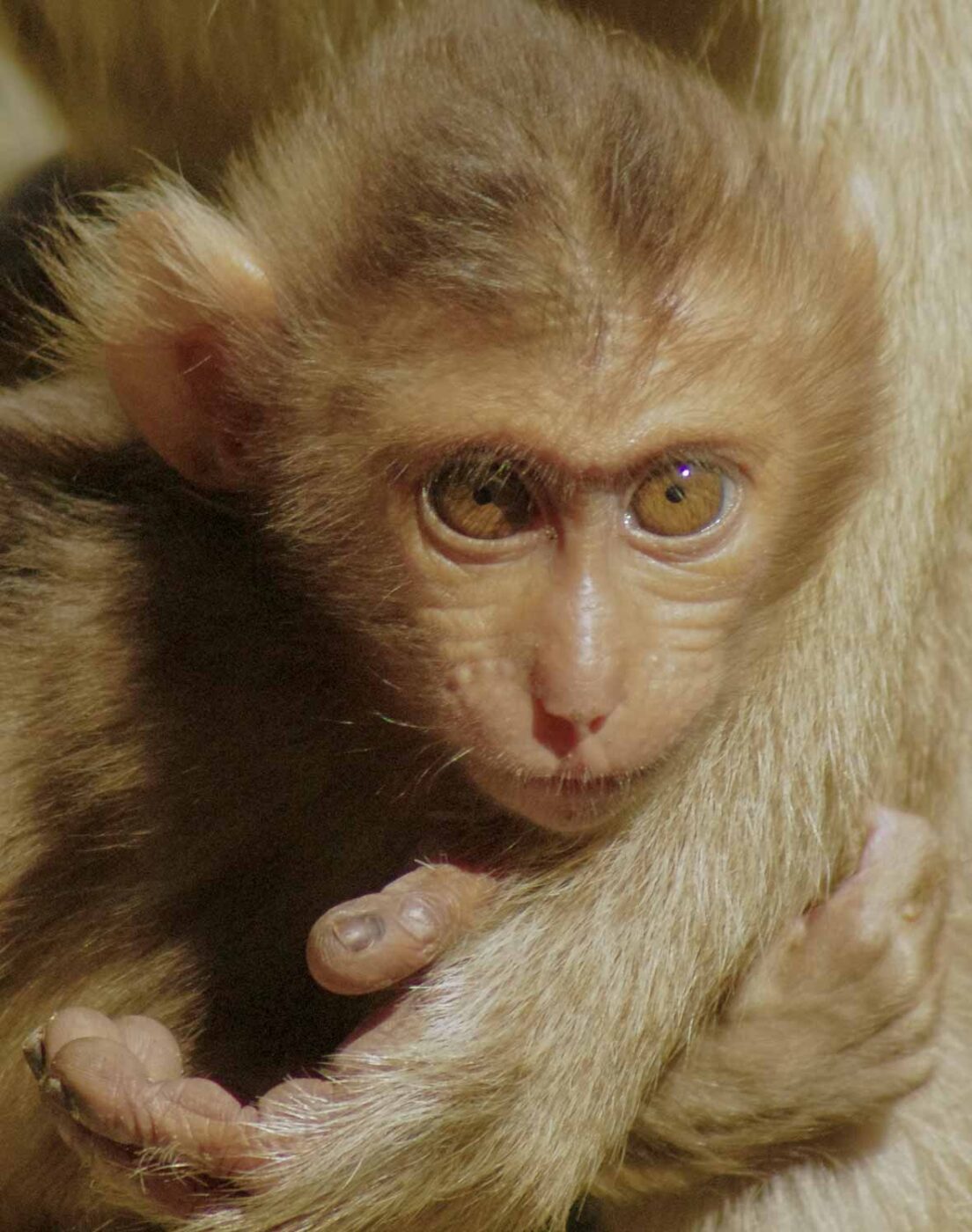 2016-08-17 - Zoo Osnabrück