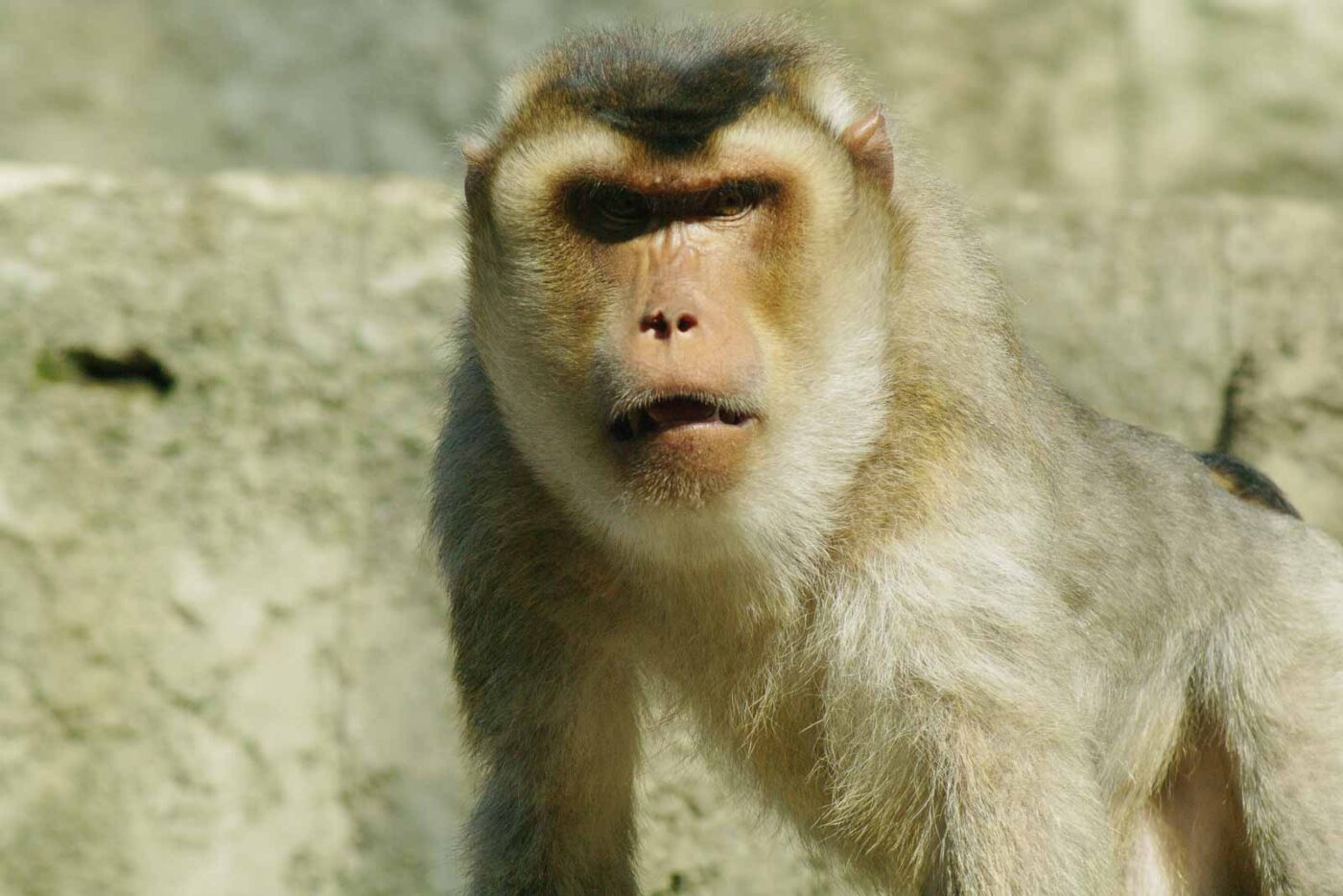 2016-08-17 - Zoo Osnabrück