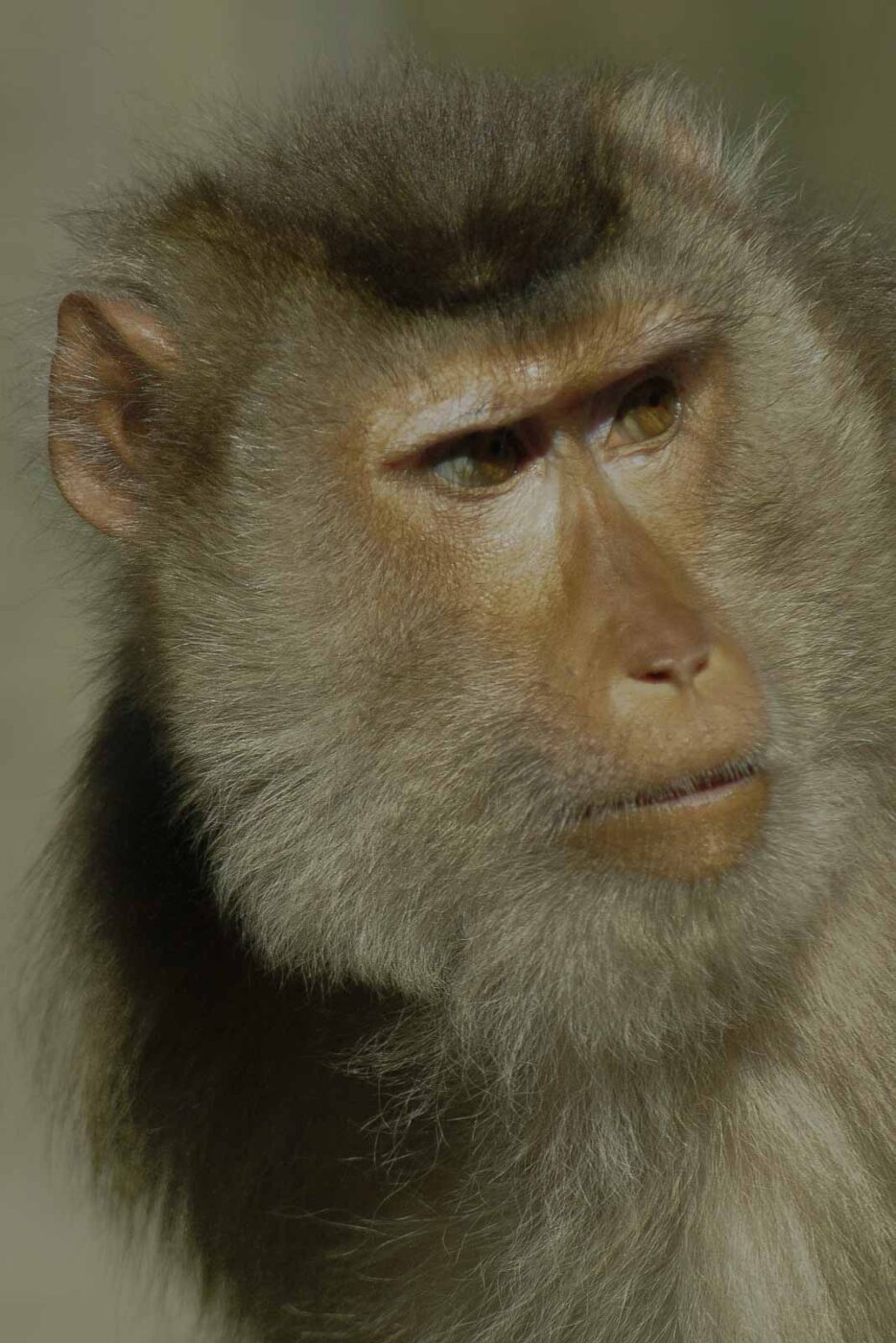 2016-08-17 - Zoo Osnabrück