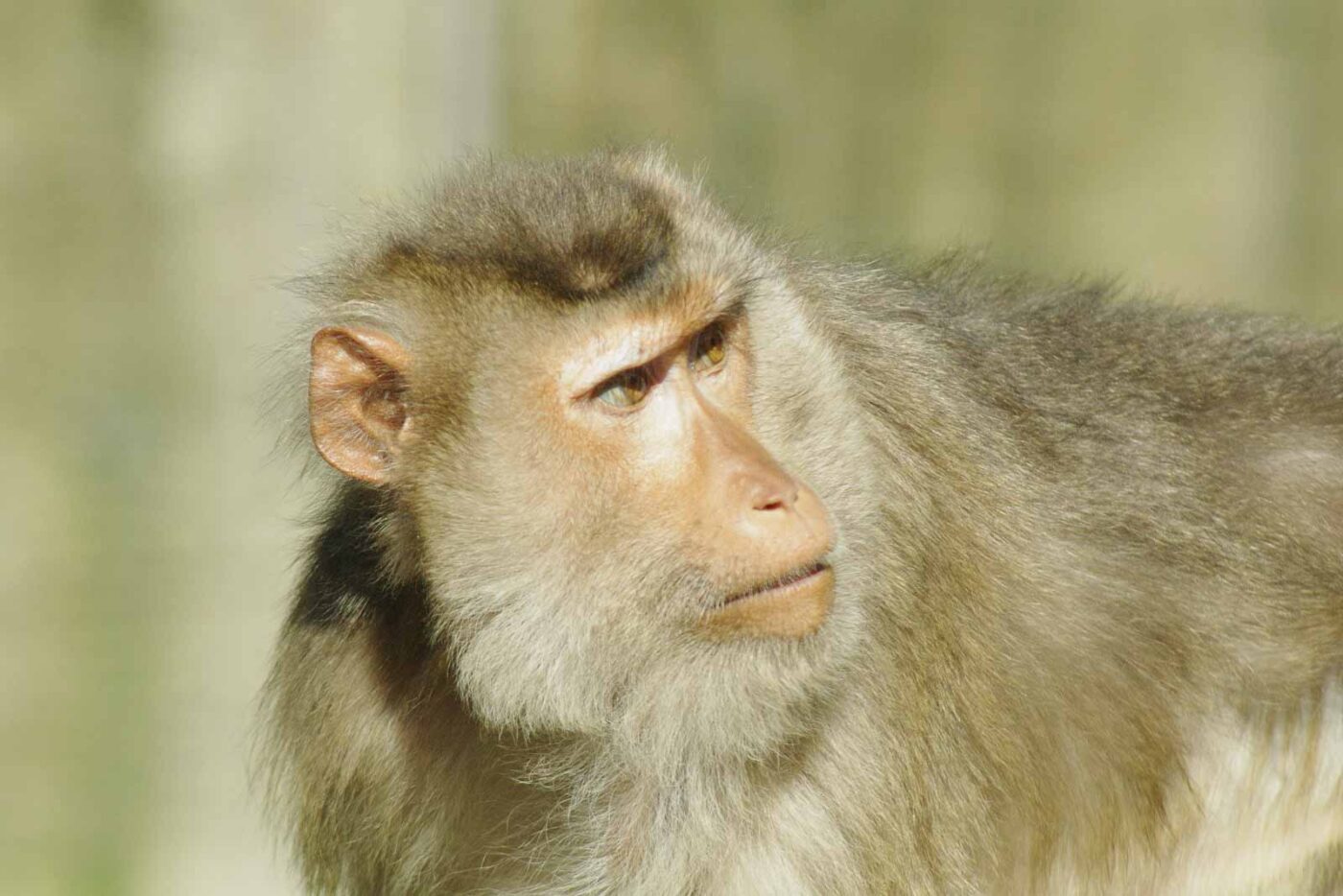 2016-08-17 - Zoo Osnabrück