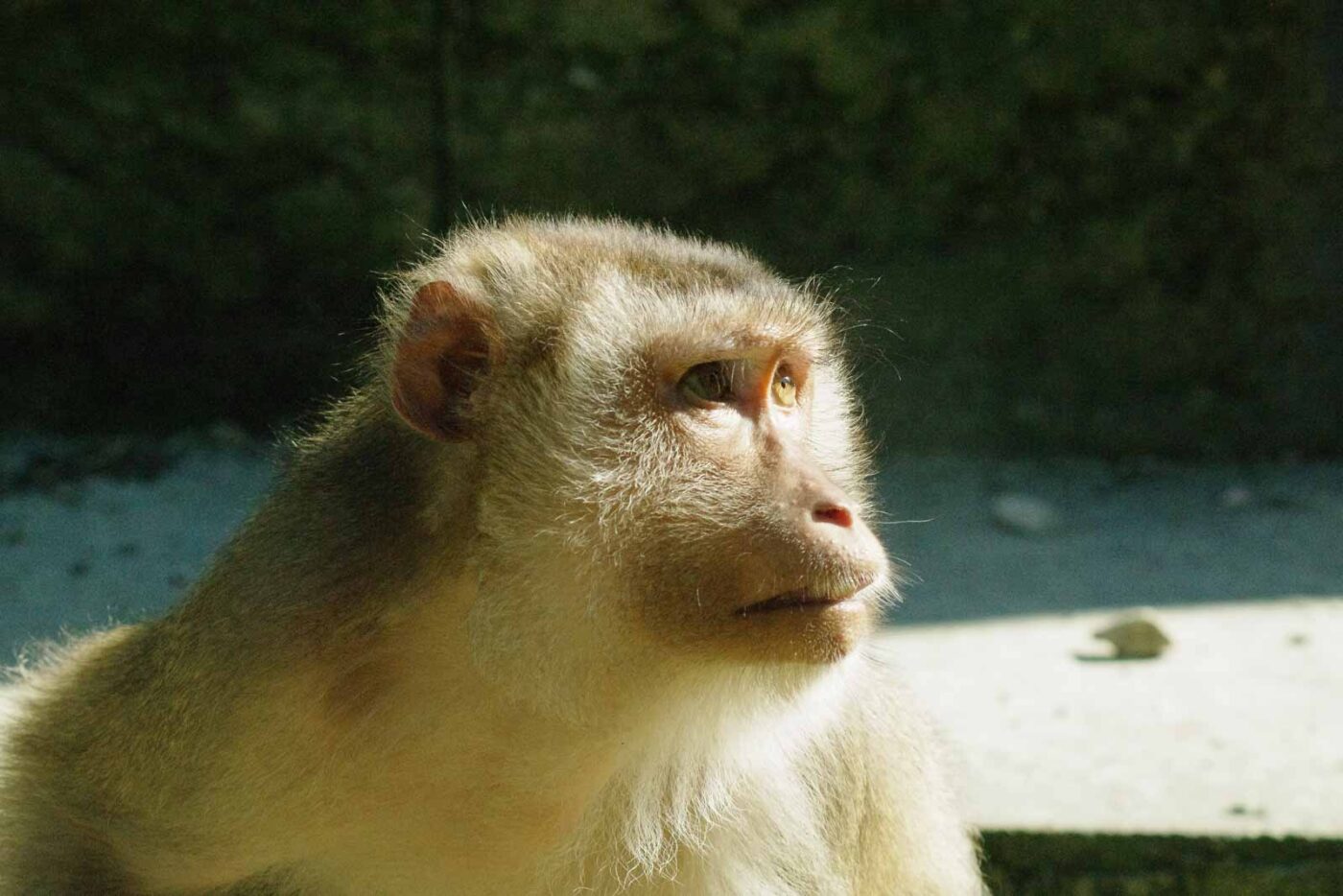 2016-08-17 - Zoo Osnabrück