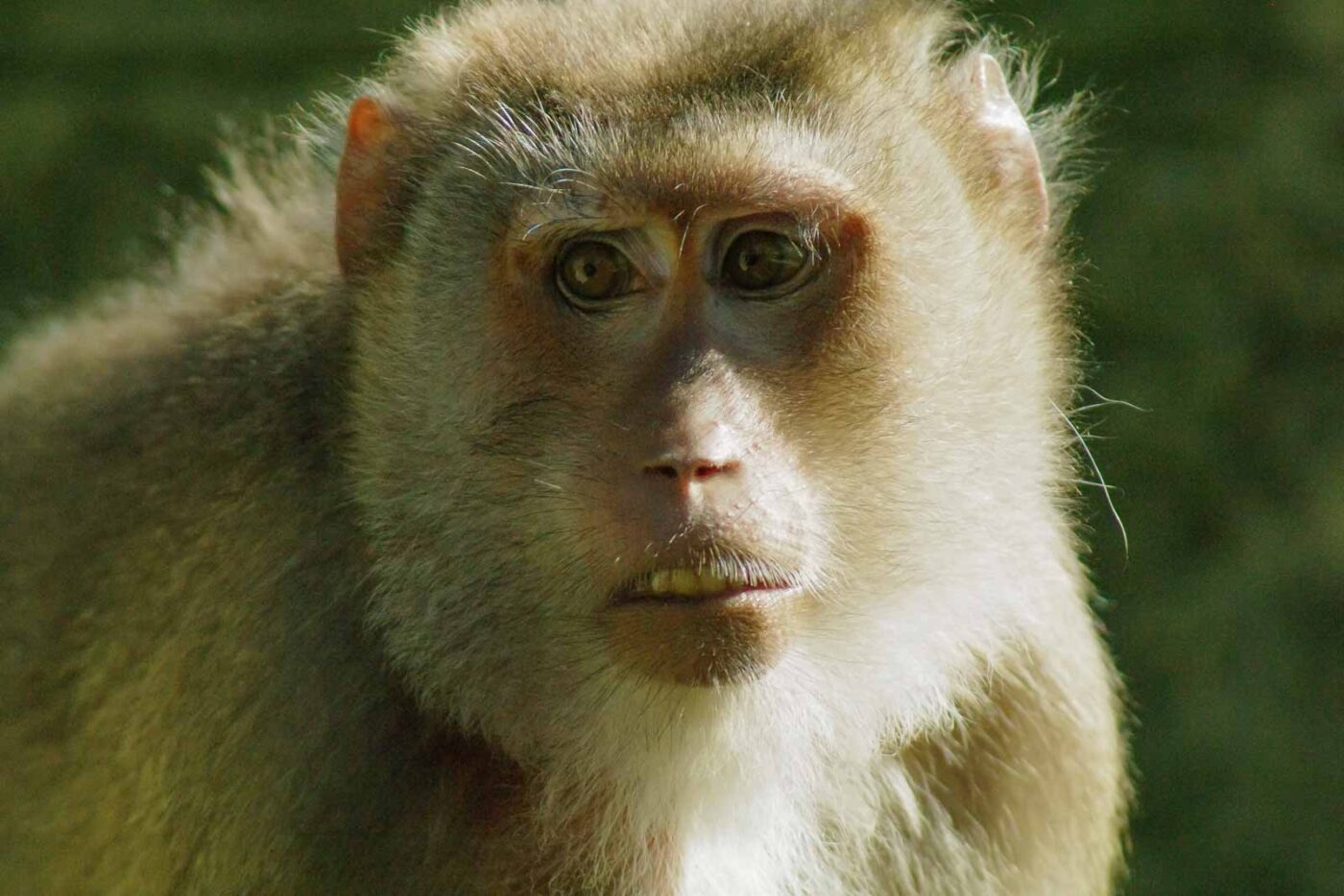 2016-08-17 - Zoo Osnabrück