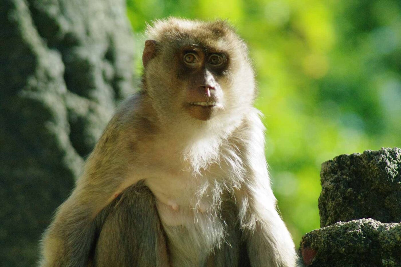 2016-08-17 - Zoo Osnabrück